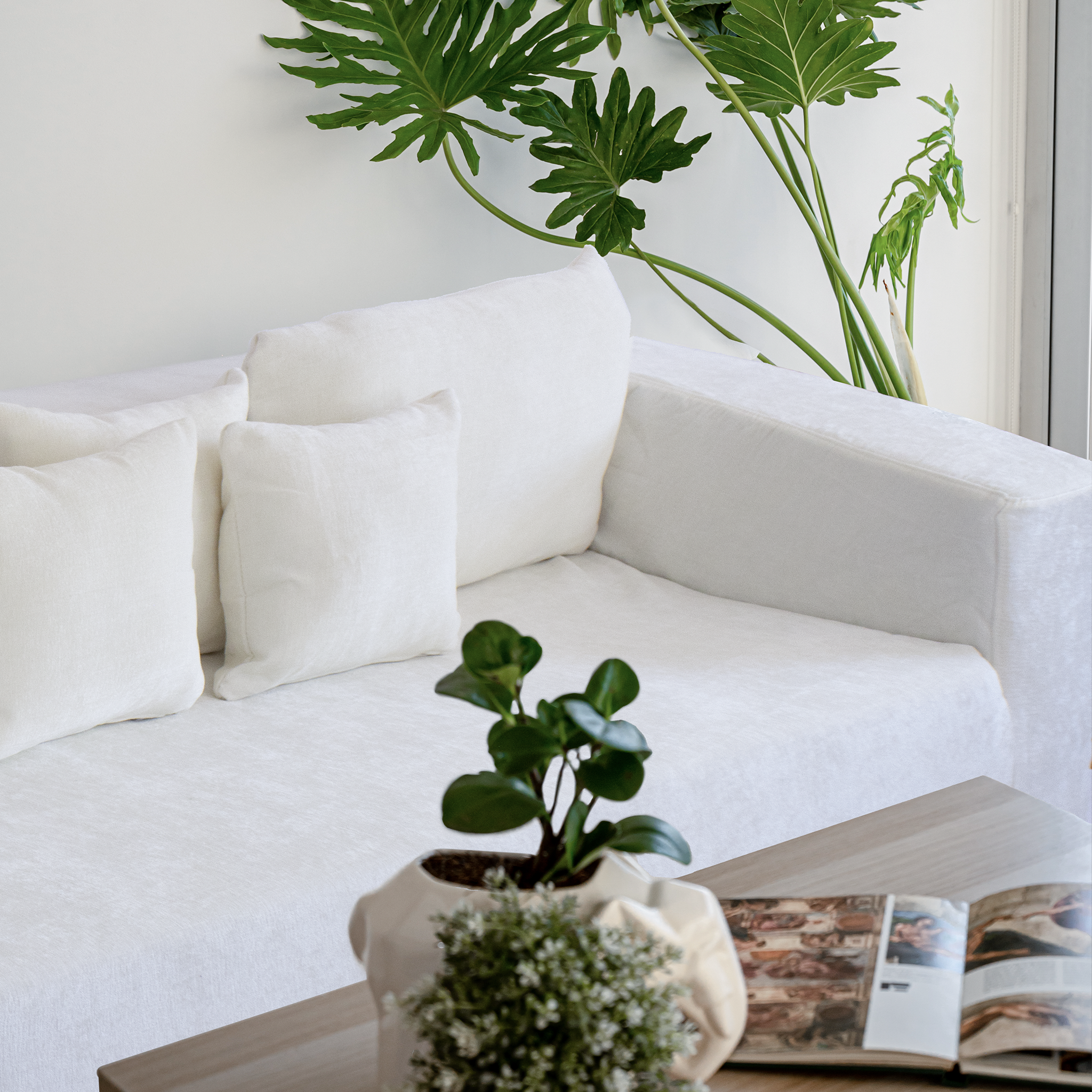 Titán | El Nuevo Clásico