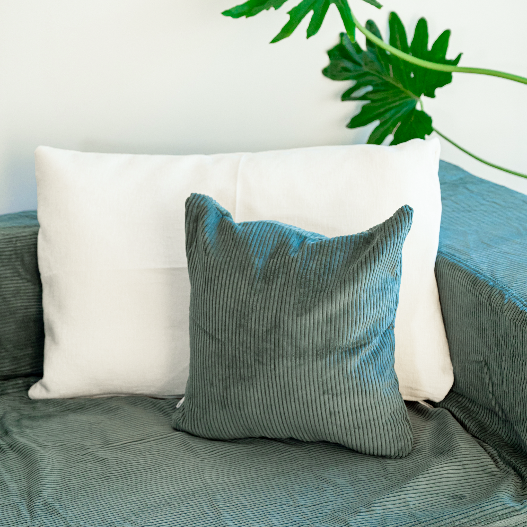 Titán | El Nuevo Clásico